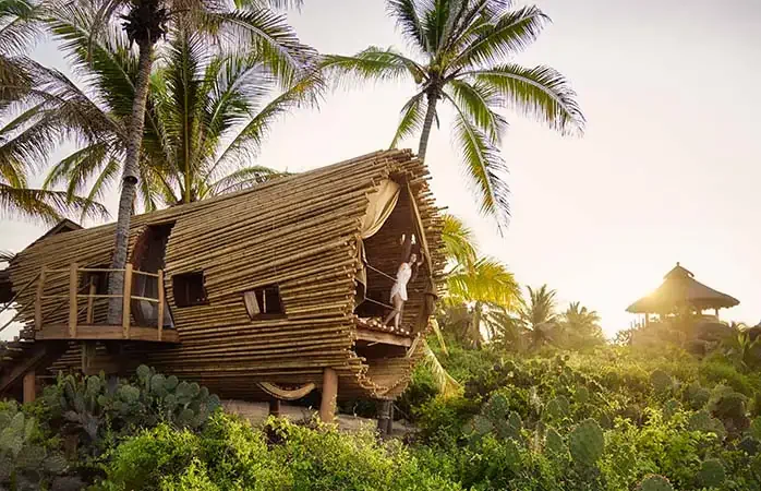 Luxury tree houses and Mexico go hand-in-hand at Playa Viva