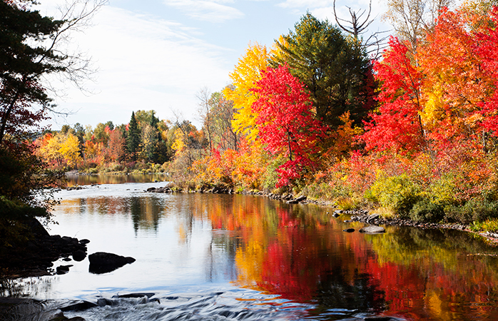 Fall in love with the colours of Ontario autumn