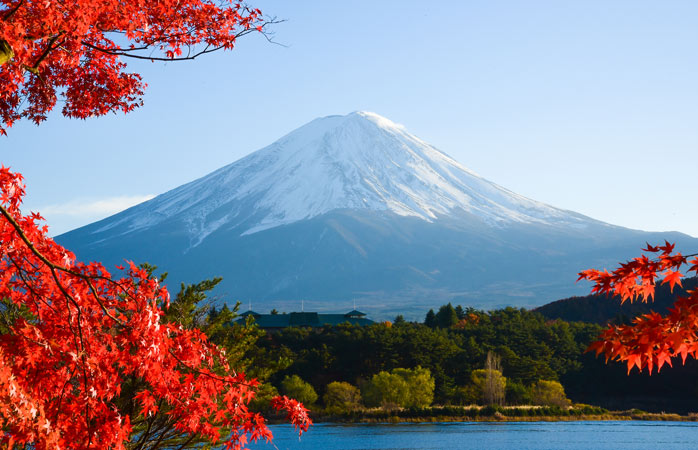 Mount Fuji surrounded by autumn leaves 