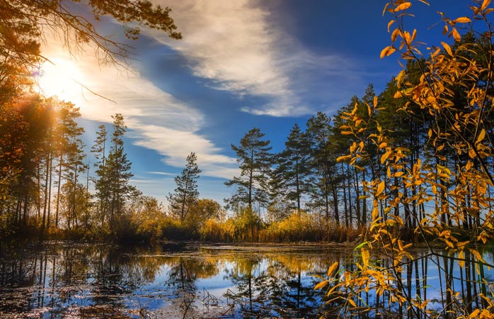 Autumn colours along the Ob River