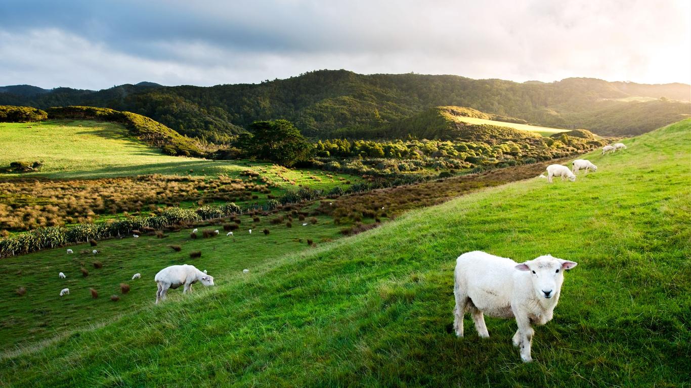 Flights to South Island