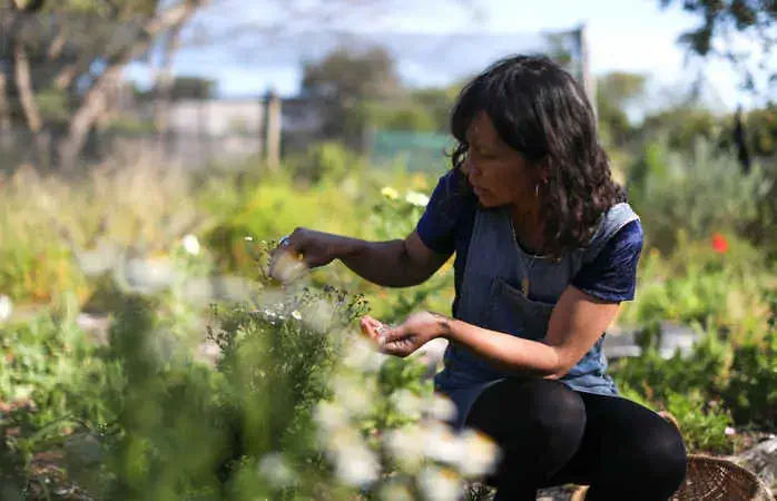 a Woman runs a small business from her home in Cape Point, South Africa, where she teaches groups of people how to forage for edible flowers and vegetables in a sustainable manner out in nature.