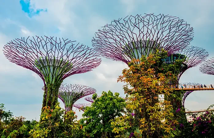 Park Gardens by the Bay. Singapore; Shutterstock ID 263682860; Purpose: Eco friendly destinations; Brand (KAYAK, Momondo, Any): momondo