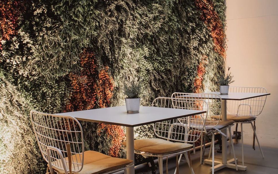 Patio Photo